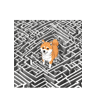 柴犬の新日常7（個別スタンプ：35）