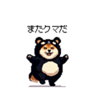 クマ出没注意な太っちょ柴犬 クマが出たぞ（個別スタンプ：3）