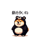 クマ出没注意な太っちょ柴犬 クマが出たぞ（個別スタンプ：4）