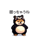 クマ出没注意な太っちょ柴犬 クマが出たぞ（個別スタンプ：5）