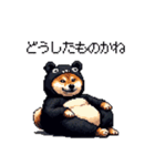 クマ出没注意な太っちょ柴犬 クマが出たぞ（個別スタンプ：6）