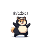 クマ出没注意な太っちょ柴犬 クマが出たぞ（個別スタンプ：7）