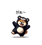 クマ出没注意な太っちょ柴犬 クマが出たぞ（個別スタンプ：12）