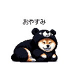 クマ出没注意な太っちょ柴犬 クマが出たぞ（個別スタンプ：16）