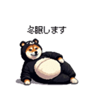 クマ出没注意な太っちょ柴犬 クマが出たぞ（個別スタンプ：17）