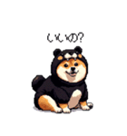 クマ出没注意な太っちょ柴犬 クマが出たぞ（個別スタンプ：25）