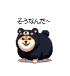 クマ出没注意な太っちょ柴犬 クマが出たぞ（個別スタンプ：29）