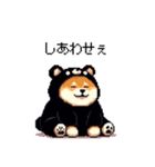 クマ出没注意な太っちょ柴犬 クマが出たぞ（個別スタンプ：32）