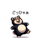 クマ出没注意な太っちょ柴犬 クマが出たぞ（個別スタンプ：34）