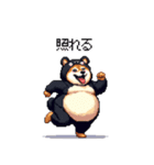 クマ出没注意な太っちょ柴犬 クマが出たぞ（個別スタンプ：36）