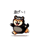 クマ出没注意な太っちょ柴犬 クマが出たぞ（個別スタンプ：39）
