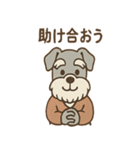 にこにこおじいちゃんシュナ（個別スタンプ：13）