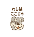 にこにこおじいちゃんシュナ（個別スタンプ：15）