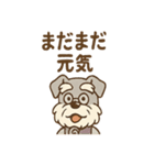にこにこおじいちゃんシュナ（個別スタンプ：19）