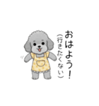 愚痴る保育士トイプードル（個別スタンプ：1）