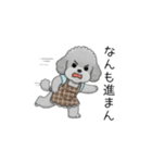 愚痴る保育士トイプードル（個別スタンプ：7）