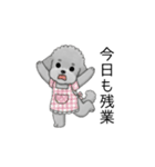愚痴る保育士トイプードル（個別スタンプ：12）