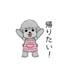 愚痴る保育士トイプードル（個別スタンプ：14）