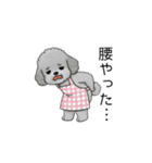 愚痴る保育士トイプードル（個別スタンプ：16）