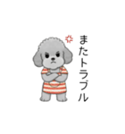 愚痴る保育士トイプードル（個別スタンプ：19）