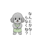 愚痴る保育士トイプードル（個別スタンプ：23）