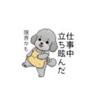 愚痴る保育士トイプードル（個別スタンプ：27）