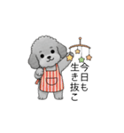 愚痴る保育士トイプードル（個別スタンプ：36）