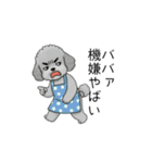 愚痴る保育士トイプードル（個別スタンプ：38）