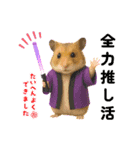 推し活ハムさん(紫担パープル担)（個別スタンプ：6）