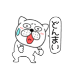 吹き出しぶさいく犬59（個別スタンプ：11）