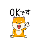 【敬語】柴犬のふぅちゃん15（個別スタンプ：1）