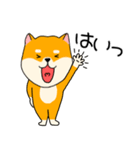 【敬語】柴犬のふぅちゃん15（個別スタンプ：4）