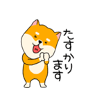 【敬語】柴犬のふぅちゃん15（個別スタンプ：8）
