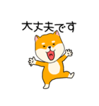 【敬語】柴犬のふぅちゃん15（個別スタンプ：13）