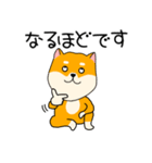 【敬語】柴犬のふぅちゃん15（個別スタンプ：25）