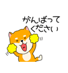 【敬語】柴犬のふぅちゃん15（個別スタンプ：27）