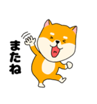 【敬語】柴犬のふぅちゃん15（個別スタンプ：37）