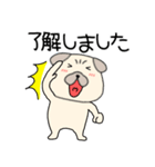 【敬語】パグ犬のぱーちゃん89（個別スタンプ：1）