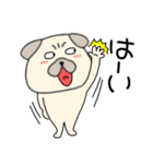 【敬語】パグ犬のぱーちゃん89（個別スタンプ：5）