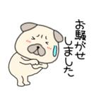【敬語】パグ犬のぱーちゃん89（個別スタンプ：20）