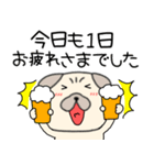 【敬語】パグ犬のぱーちゃん89（個別スタンプ：34）