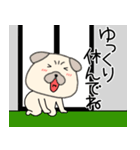 【敬語】パグ犬のぱーちゃん89（個別スタンプ：37）