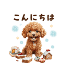 冬のトイプードル（個別スタンプ：3）