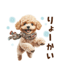 冬のトイプードル（個別スタンプ：7）