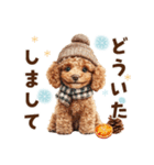 冬のトイプードル（個別スタンプ：11）