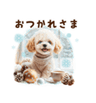 冬のトイプードル（個別スタンプ：16）