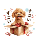 冬のトイプードル（個別スタンプ：20）