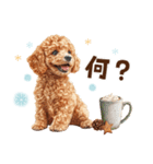 冬のトイプードル（個別スタンプ：28）