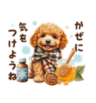 冬のトイプードル（個別スタンプ：34）