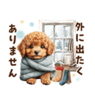 冬のトイプードル（個別スタンプ：36）